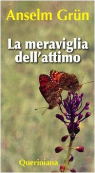 meraviglia dell\'attimo