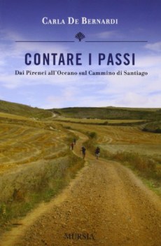 contare i passi