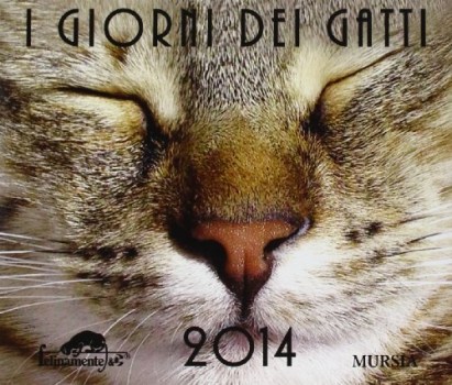 giorni dei gatti 2014