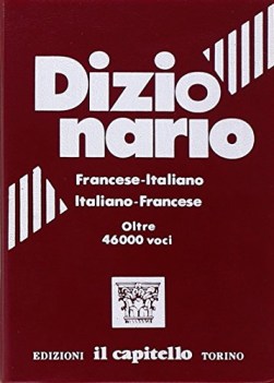 dizionario francese