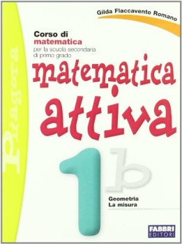 matematica attiva 1b