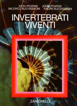 invertebrati viventi