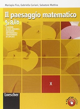 paesaggio matematico giallo x