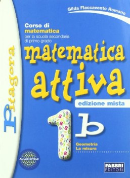 matematica attiva misto 1b