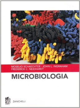 microbiologia (lanciotti)