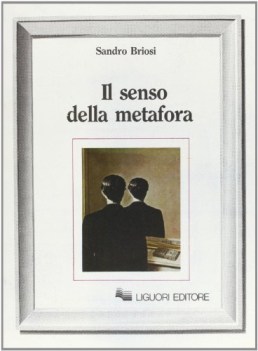 senso della metafora