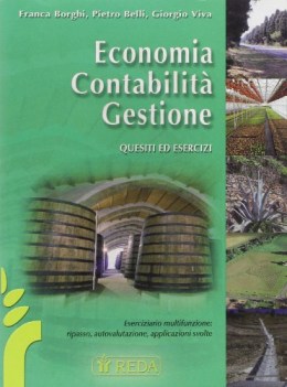 economia contabilita gestione, quesiti