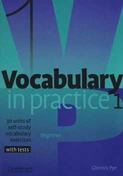 vocabulary in practice 1