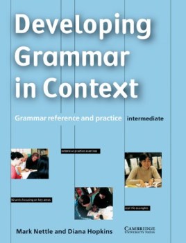 developing grammar in context no key