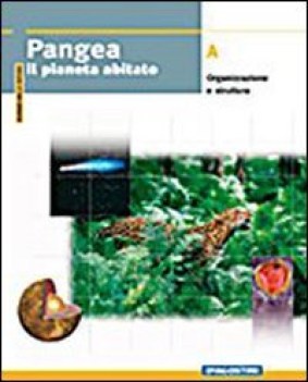 pangea a