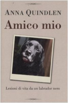 amico mio