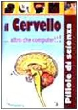 cervello