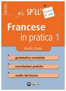 francese in pratica 1 (spilli) 80 base