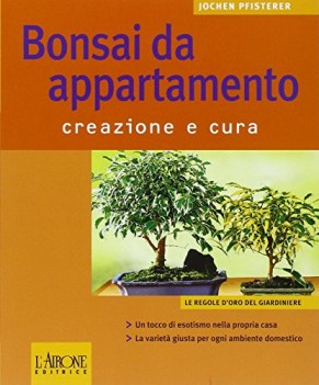 bonsai da appartamento