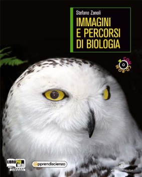 immagini e percorsi di scienze della terra unico