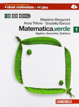 matematica verde 1 multim con dvd rom