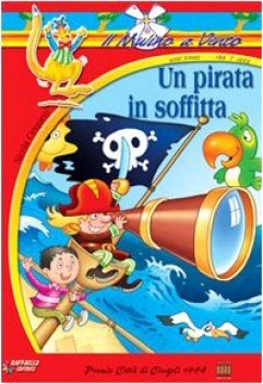 pirata in soffitta