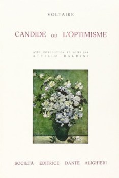 candide ou l\'optimisme