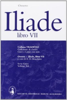 iliade 7