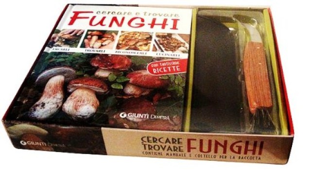 cercare e trovare funghi