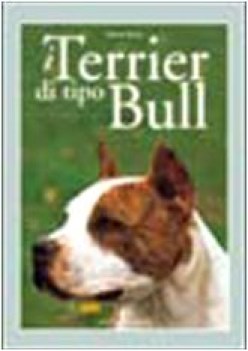 terrier di tipo bull