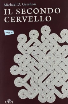 secondo cervello