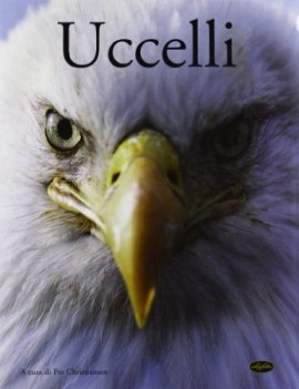 uccelli