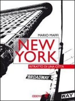 new york ritratto di una citta