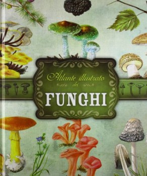 atlante illustrato dei funghi