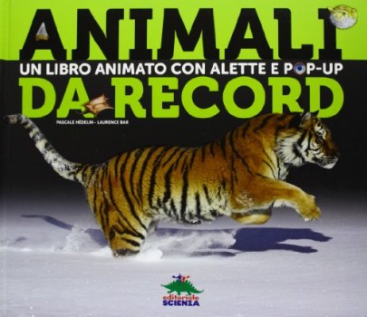 animali un libro animato con alette e pop-up da record