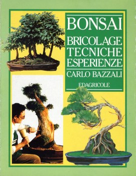 bonsai bricolage tecniche esperienze