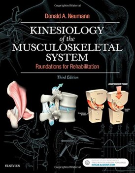 kinesiology of the musculoskeletal system...