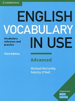 english vocabulary in use advanced book with answers