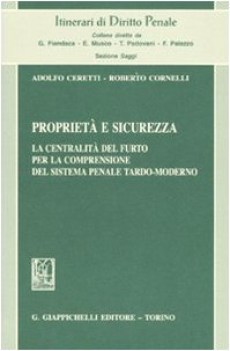 proprieta\' e sicurezza la centralita\' del furto per la comprensione del sistema