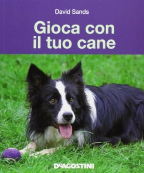 gioca con il tuo cane