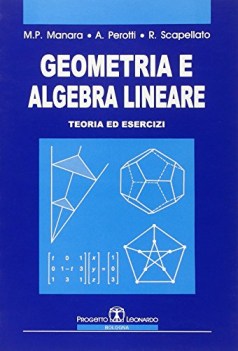 geometria e algebra lineare teoria ed esercizi