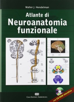 atlante di neuroanatomia