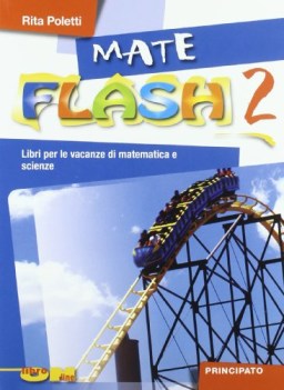 mate flash 2 x smi