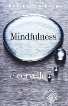 mindfulness nel cervello