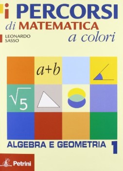 percorsi di matematica a colori 1 + quad.