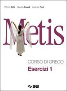 metis, esercizi 1