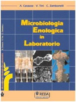 microbiologia enologica in laboratorio