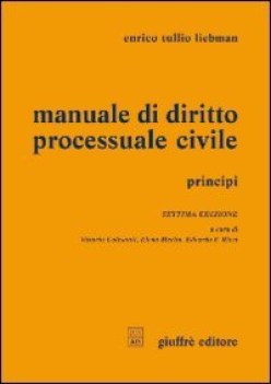 manuale di diritto processuale civile principi 7ed.