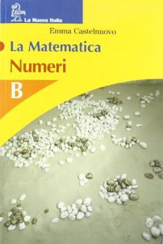 matematica numeri b