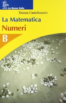 matematica numeri B+figureB