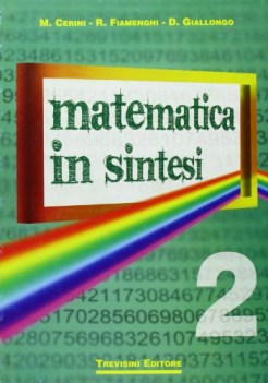 matematica in sintesi 2