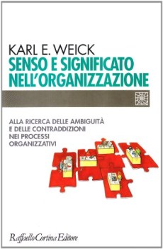 senso e significato nell\'organizzazione