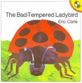 bad tempered ladybird