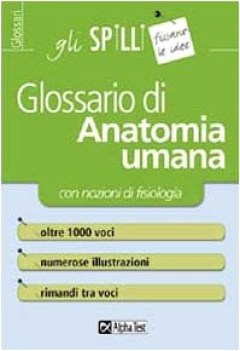 glossario di anatomia (gli spilli)