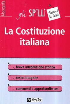 costituzione italiana (spilli)